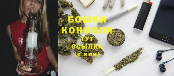 ALPHA PVP Бородино